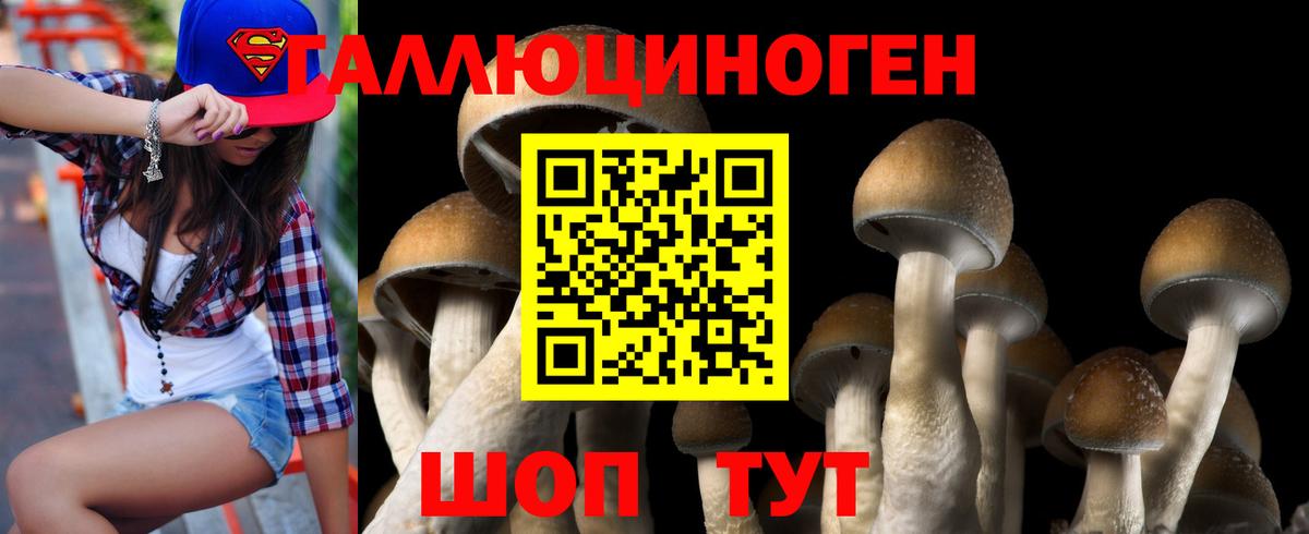 Псилоцибиновые грибы Psilocybe  Вход с VPN  Вятские Поляны 